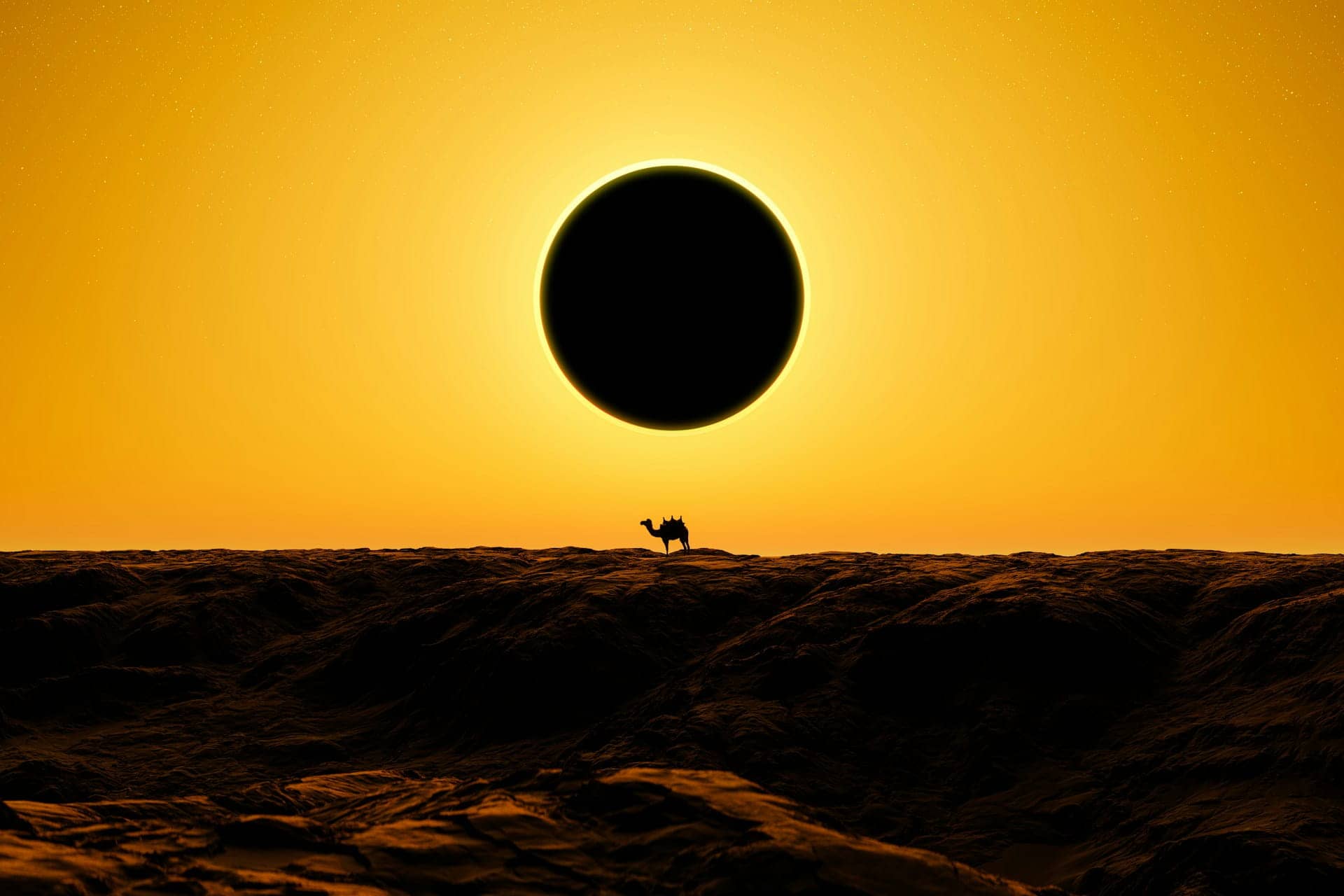 Planning for the 2024 Solar Eclipse: Your Complete Guide